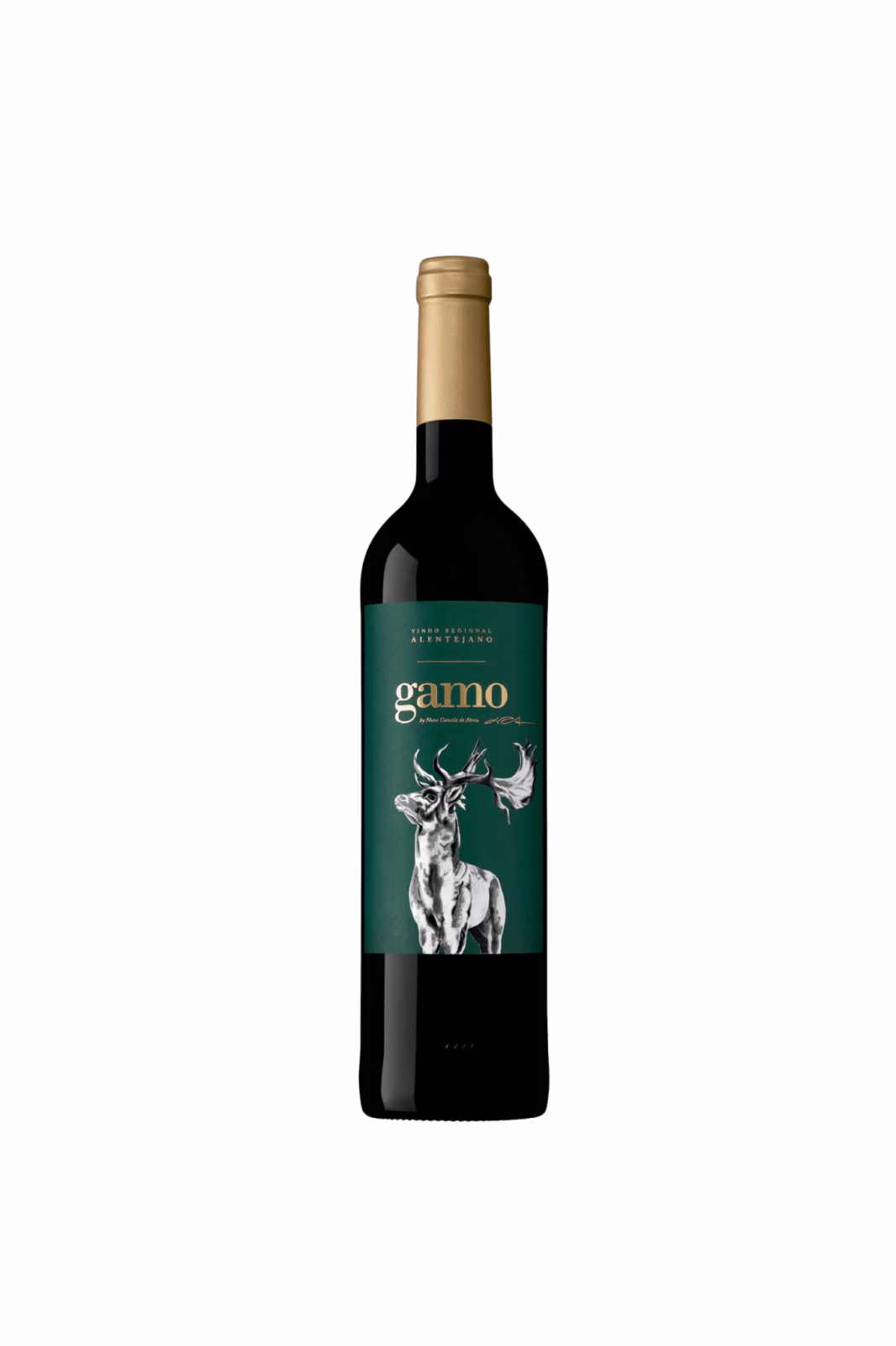 Gamo tinto