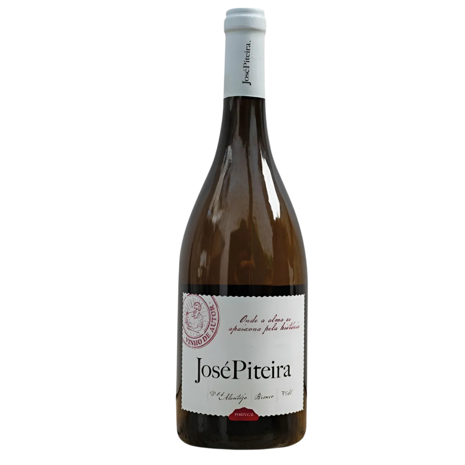 José Piteira Branco