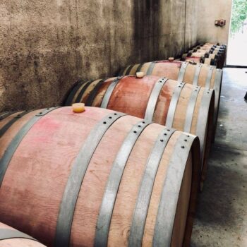 106552923_3011729818864681_7220764623418875318_n-350x350