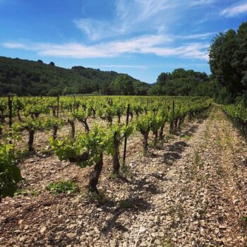 107492524_2632162077022243_6618408062253642268_n-350x350