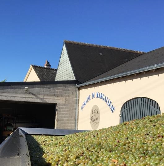 42473025_902286486631016_624024040478081024_n