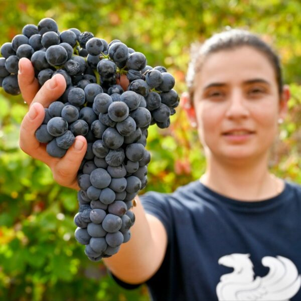 468944510_1808759796395642_6835409495870103213_n