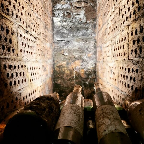 482210532_1166951912102646_1667651155483398076_n