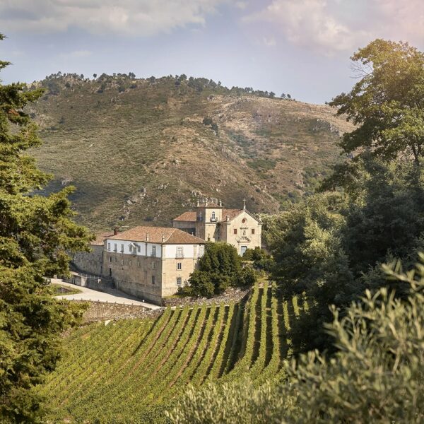 486613954_1478111413502318_4489346902485751408_n