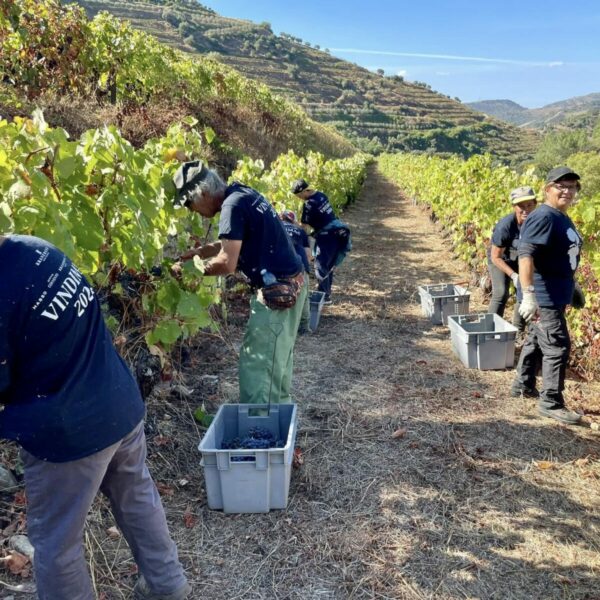 490444048_1498089041504555_9079832576611277556_n