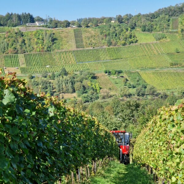 492673534_1216323833832120_3924178763324023501_n