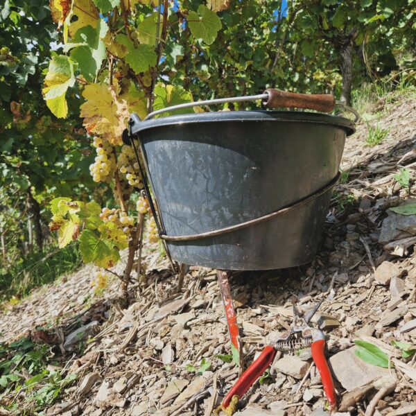 493736314_1216464323818071_4182649926389490771_n