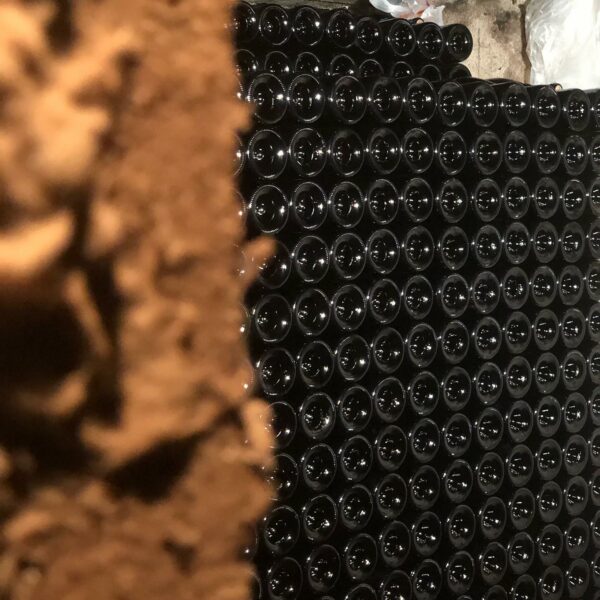 96421271_1314729265386734_7424349767162920960_n