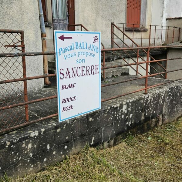 WhatsApp Image 2025-10-17 at 15.49.33 (1)