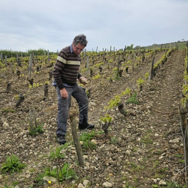 WhatsApp Image 2025-10-17 at 15.49.33 (4)