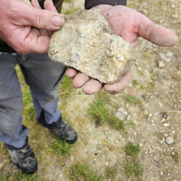 WhatsApp Image 2025-10-17 at 15.49.33 (5)