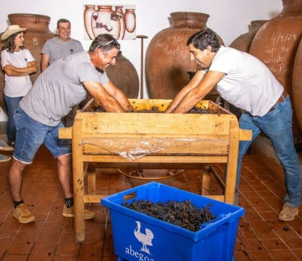 banner-1-1-scaled (1)