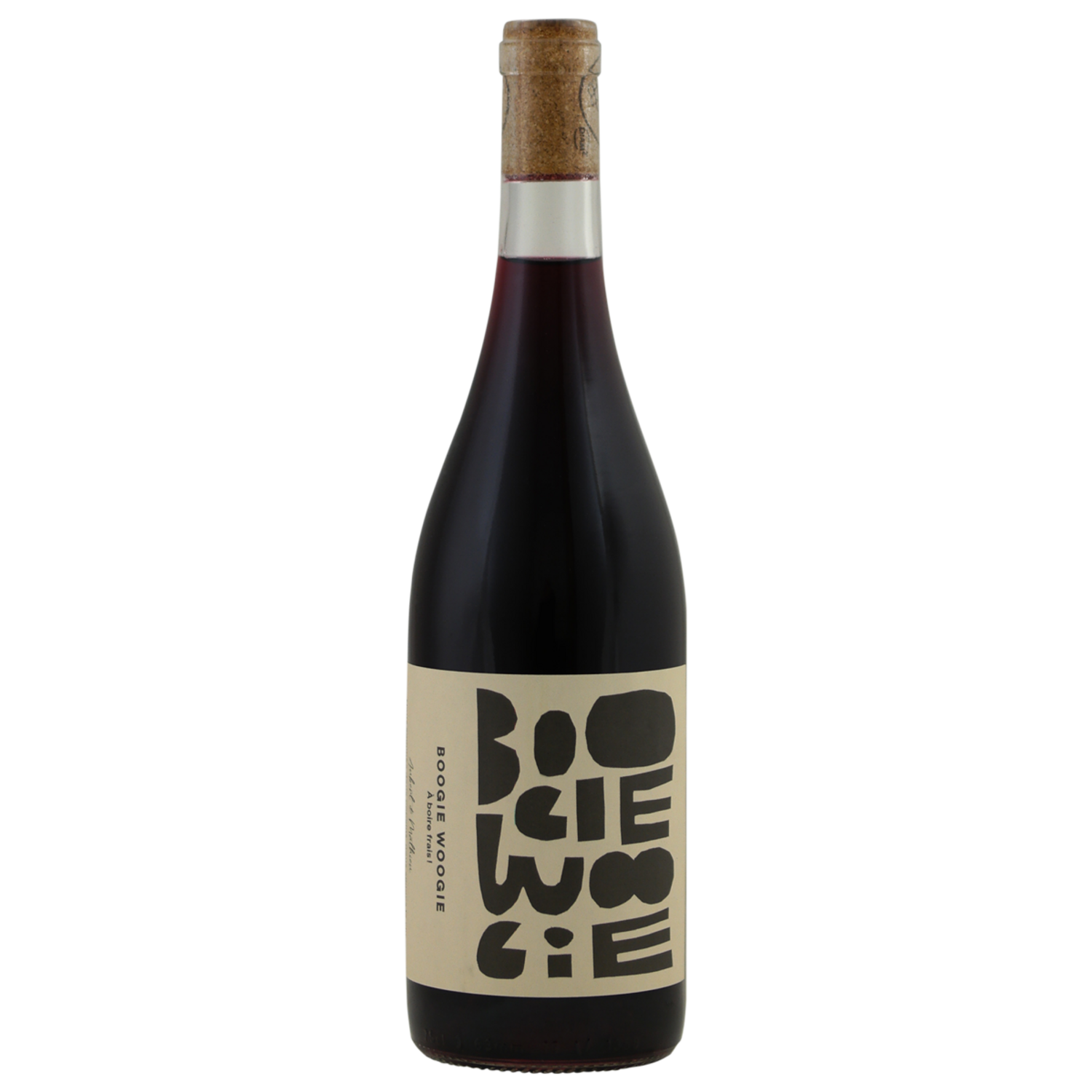 Albert & Mathieu Boogie Woogie