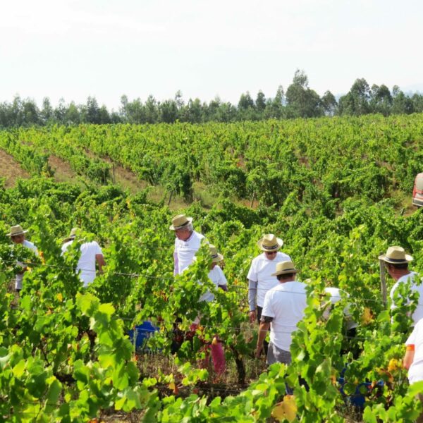 465262747_8783980531633682_1719445809773004904_n