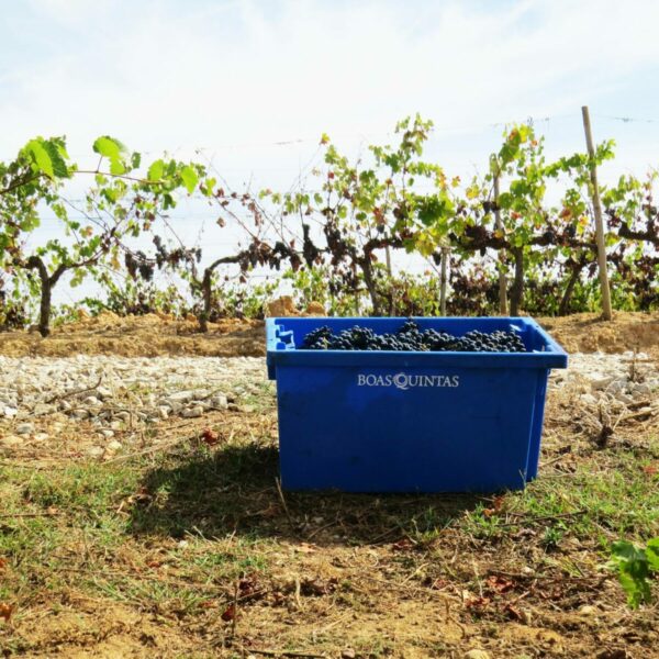 465386021_8783980501633685_1304943946491222797_n