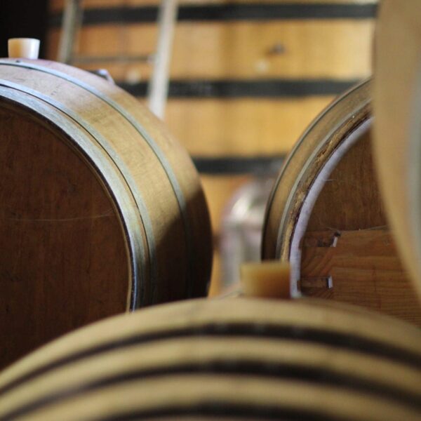 486387033_29041082612173572_8126439527670968675_n