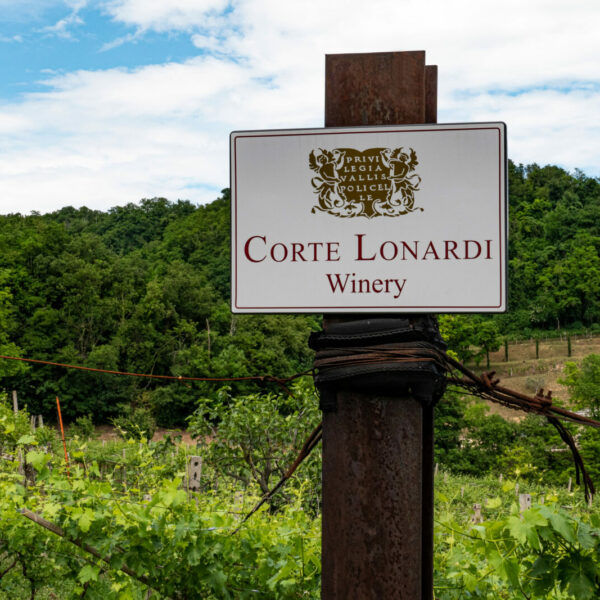 slide_spring24_03-1600x1067