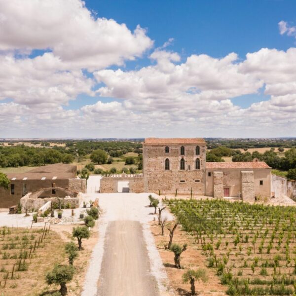 Fitapreta_WInery2-min