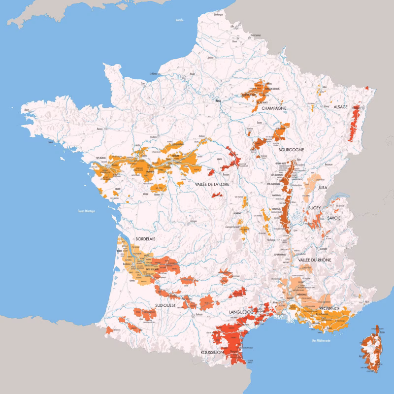 Prunelle de Navacelle - Beaujolais