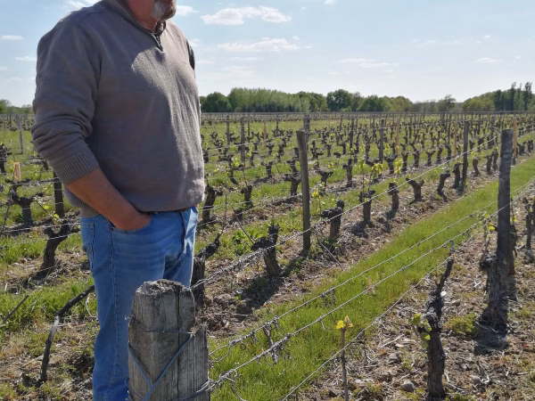 Domaine Sebastien Vaillant – Loire