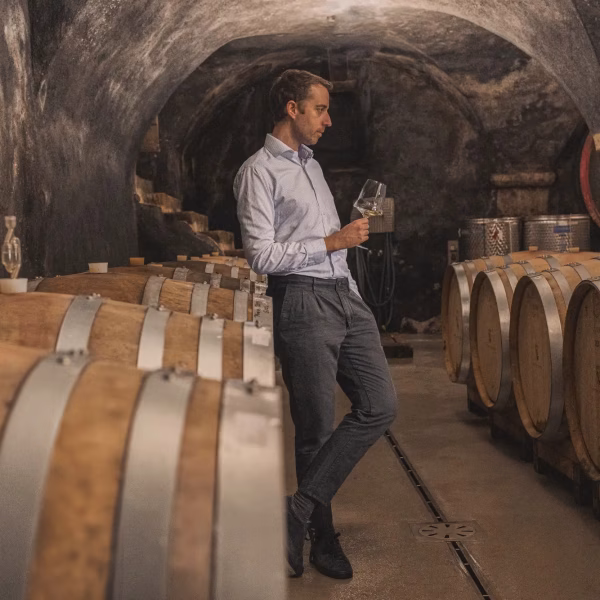 felix-anton-baron-longo-wine-cellar-josephine-3-red-wine-glass